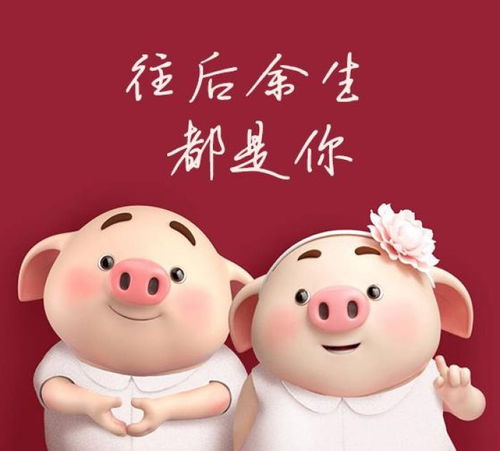 豬運勢2020運勢如何（豬運勢2020運勢如何看）