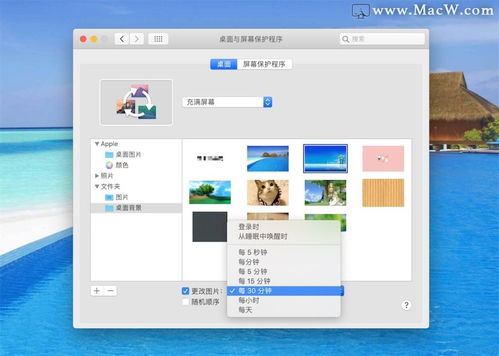 華為的桌面如何設(shè)置滾動,華為的桌面如何設(shè)置滾動壁紙