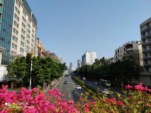 小米手機(jī)怎么桌面添加,小米手機(jī)怎么桌面添加天氣預(yù)報(bào)