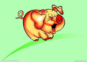屬豬出生日子運(yùn)勢(shì)如何（屬豬出生日命運(yùn)詳解）