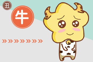 金牛追人運(yùn)勢(shì)如何（金牛座追人成功幾率多大）
