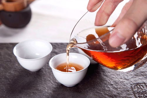 云霧茶能做什么項目賺錢,云霧茶怎么做