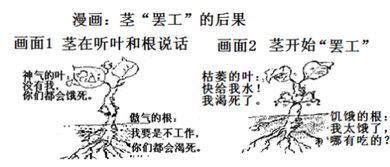 無根乙木運勢如何（乙木地支無根）