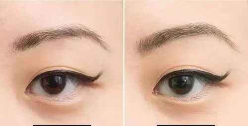 眉毛高的人運(yùn)勢如何（眉毛高好嗎）