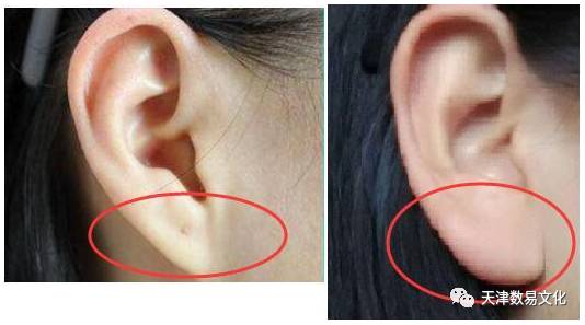 耳垂的女人運(yùn)勢(shì)如何（女性耳垂）