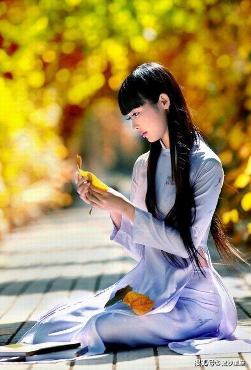 白鹿明年運勢如何（白鹿明年運勢如何）
