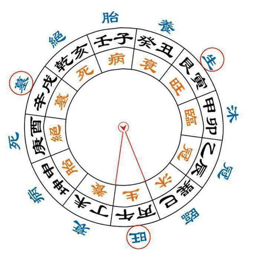 如何簡(jiǎn)單了解周易運(yùn)勢(shì)（如何簡(jiǎn)單了解周易運(yùn)勢(shì)的方法）