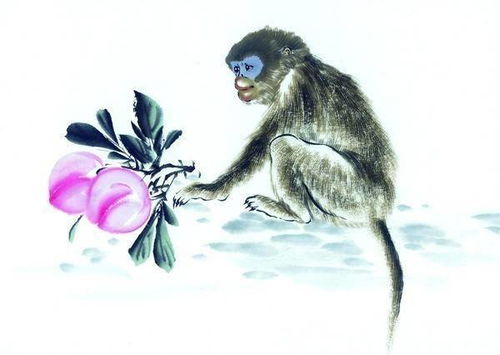 屬猴正月運(yùn)勢(shì)如何（屬猴人正月運(yùn)勢(shì)）