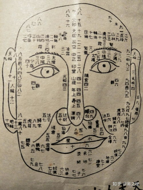壬寅出生運(yùn)勢(shì)如何看（壬寅時(shí)出生的人有什么特征）