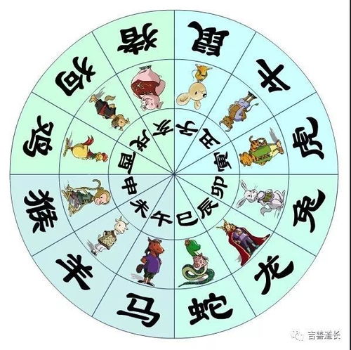 丁卯下月運勢如何（丁卯月生人）
