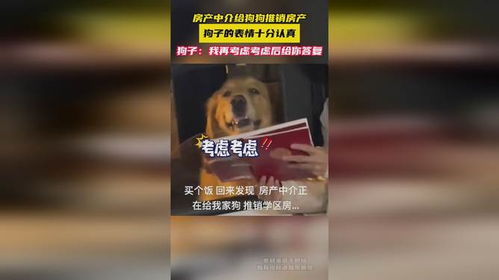 房產(chǎn)中介怎么包裝,中介推銷房子的包裝術(shù)