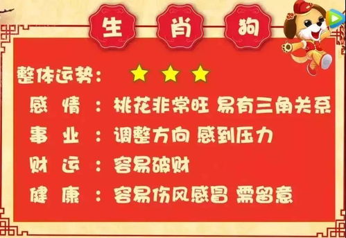 馬遇豬運(yùn)勢(shì)如何（屬馬遇豬年的運(yùn)程）
