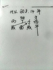 壬辰的運勢如何（壬辰運怎么看）