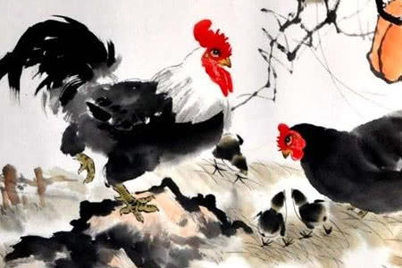 屬雞的運(yùn)勢(shì)如何2020（屬雞的運(yùn)勢(shì)如何2020年出生）