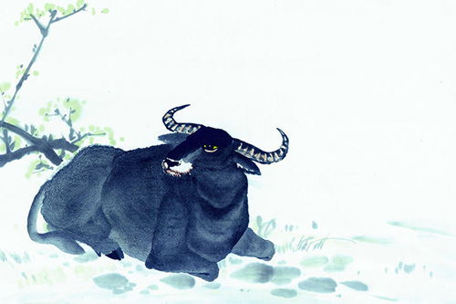 屬牛人每月運(yùn)勢(shì)如何（屬牛人2021屬牛每月的運(yùn)勢(shì)）