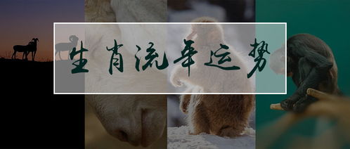 1992今年運(yùn)勢(shì)如何（92年生人今年運(yùn)勢(shì)）