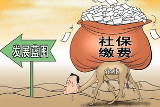 小人物做什么項(xiàng)目賺錢多,小人物做什么項(xiàng)目賺錢多呢