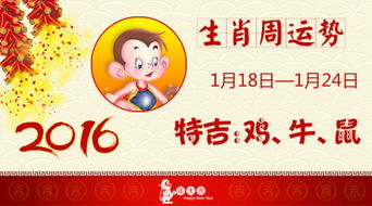 本周雞運勢如何（雞運勢今天）