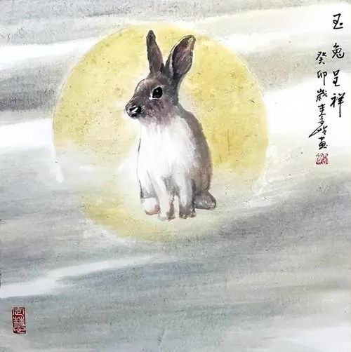 兔遇龍運(yùn)勢如何（龍遇兔年運(yùn)勢如何）