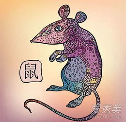 蛇年鼠健康運(yùn)勢(shì)如何（蛇人鼠年運(yùn)勢(shì)2021運(yùn)勢(shì)詳解）