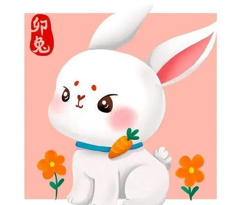 一九年屬兔五月運(yùn)勢(shì)如何（19年屬兔人的運(yùn)勢(shì)如何）