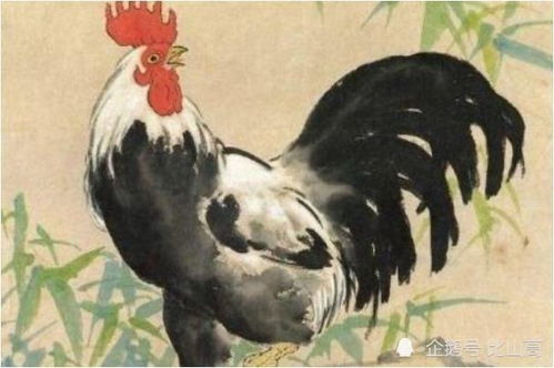 屬雞7月份運勢如何（屬雞七月份運勢2020）