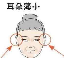 男生鼻頭下垂運(yùn)勢如何（男生鼻頭塌的命運(yùn)）