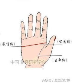 斷掌紋的人運勢如何（斷掌紋的人會怎么樣）