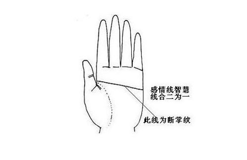 斷掌紋的人運勢如何（斷掌紋的人會怎么樣）