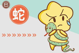 2024年屬蛇運(yùn)勢(shì)每月運(yùn)勢(shì)如何（屬蛇人2024年每月運(yùn)勢(shì)）