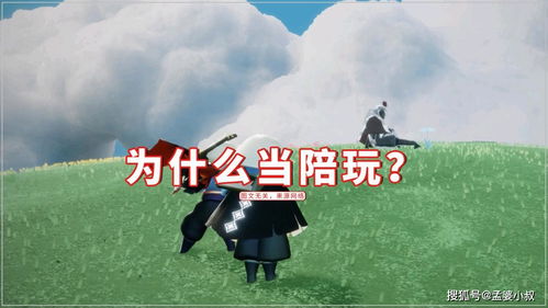 光遇陪玩什么項(xiàng)目賺錢多,光遇陪玩做什么