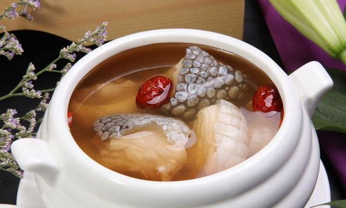 蘆薈怎么養(yǎng)魚攻略游戲,蘆薈可以養(yǎng)在魚缸里嗎?