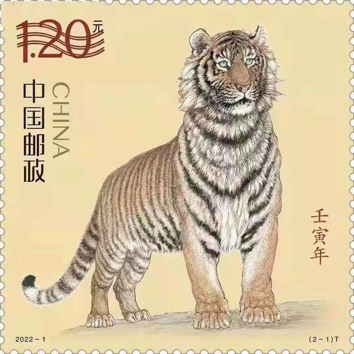 乙丑命在虎年運(yùn)勢(shì)如何（乙丑年出生人的命運(yùn)詳解）