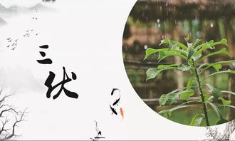 丁卯人冬季運勢如何（丁卯年冬月是什么年代）
