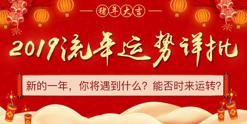 2019年運勢如何（看一下2019年的運勢）