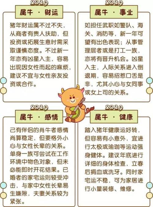 2019年運勢如何（看一下2019年的運勢）