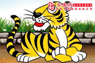 虎年95屬豬的運勢如何（95年屬虎2021年運勢及運程）