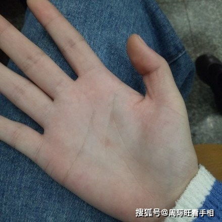 女子斷掌男人運(yùn)勢(shì)如何（女子斷掌男人運(yùn)勢(shì)如何呢）