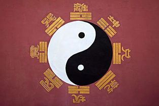 生日如何改變運(yùn)勢(shì)和運(yùn)勢(shì)（生日如何讓自己轉(zhuǎn)運(yùn)）