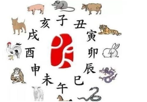卯兔出生運勢如何（卯兔一生命運）