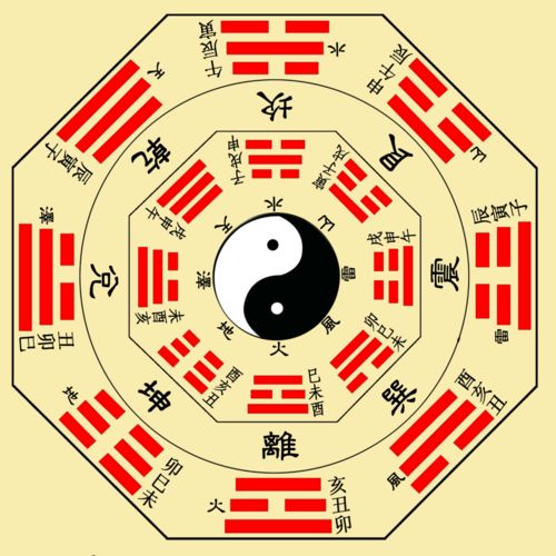 卯兔出生運勢如何（卯兔一生命運）