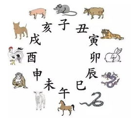 卯兔出生運勢如何（卯兔一生命運）