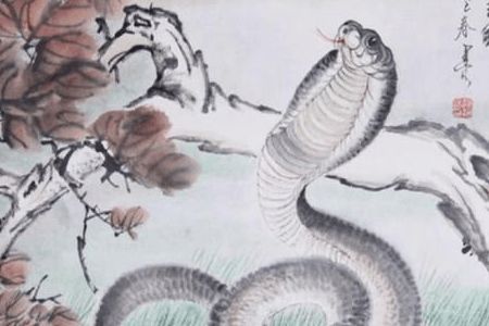 2018蛇年運(yùn)勢(shì)如何（屬蛇2018年運(yùn)勢(shì)及運(yùn)程詳解）