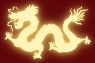來(lái)年屬龍運(yùn)勢(shì)如何（去年屬龍的運(yùn)氣怎樣）