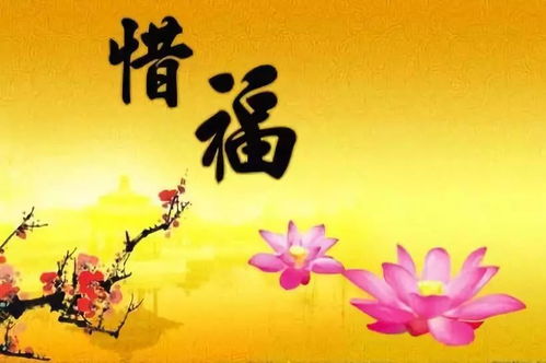 命的運(yùn)勢如何（運(yùn)勢命格）
