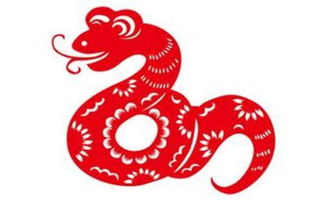 屬龍的狗年運(yùn)勢(shì)如何（屬龍的狗年運(yùn)勢(shì)如何呢）