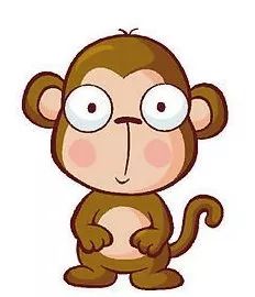 豬年虎運勢如何（豬年在虎年的運程）