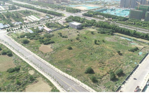 2畝地能做什么項(xiàng)目賺錢,2畝地能做什么項(xiàng)目賺錢呢