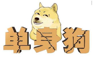 今年單身運(yùn)勢如何（單身運(yùn)氣旺）