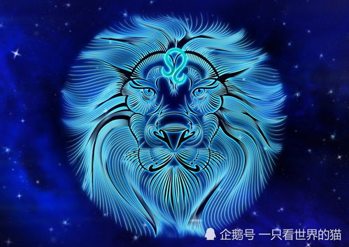 天蝎獅子愛情運(yùn)勢(shì)如何（天蝎獅子座）